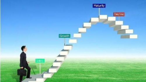 深圳品牌策劃與營銷 市場動態(tài)與專業(yè)機構(gòu)的優(yōu)勢解析